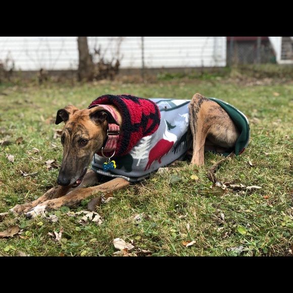 Meet Jacalyn - Picture 6 of 7